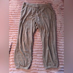 Aerie Sherpa Joggers